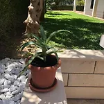 Aspalathos Апартаменты Сплит