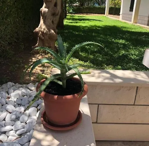 Aspalathos Apartman Split