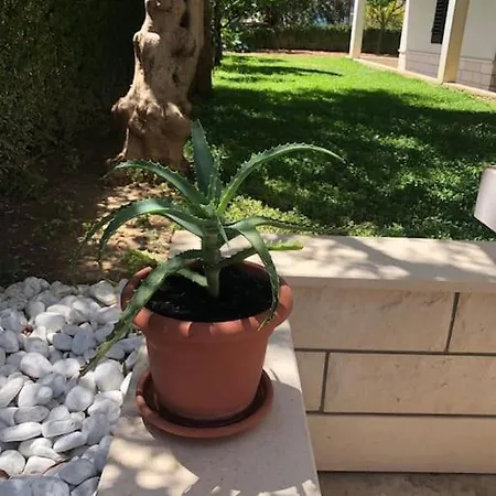 Aspalathos Lejlighed Split